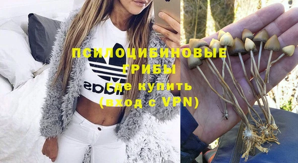 дживик Михайловка