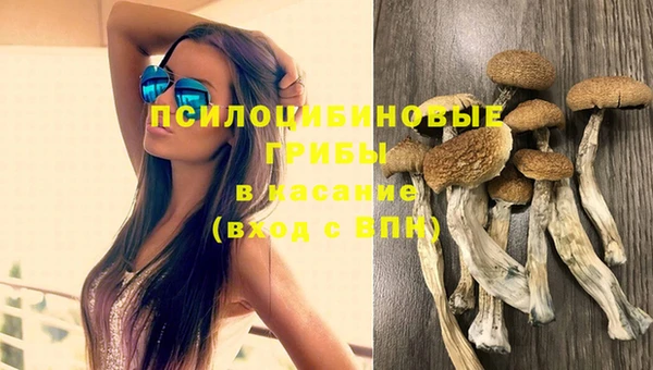 соль курить ск Наволоки