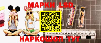 spice Абакан