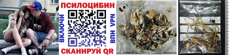 дарнет шоп  Абакан  Галлюциногенные грибы Magic Shrooms 