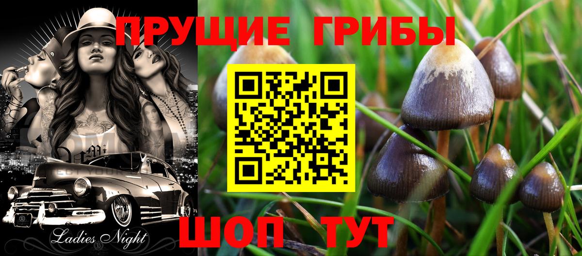 Галлюциногенные грибы мухоморы Абакан