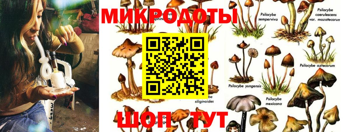 Абакан  Галлюциногенные грибы Magic Shrooms  Вход с VPN 
