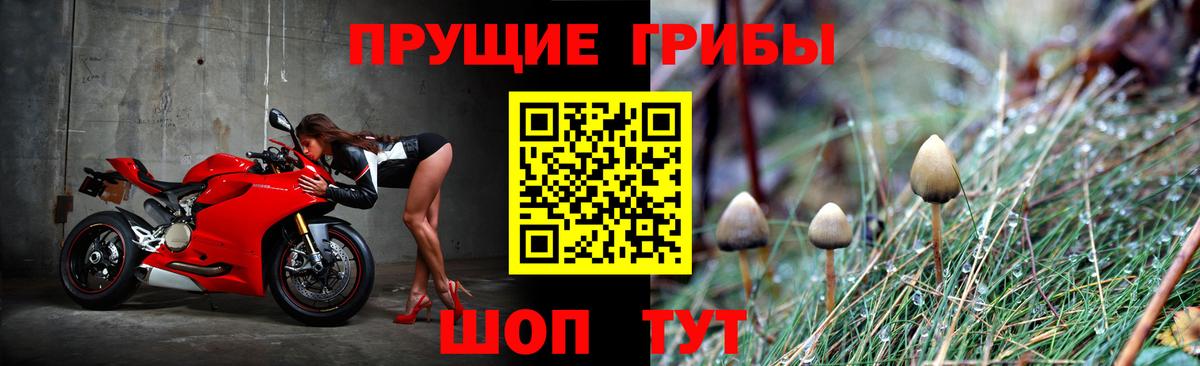 Псилоцибиновые грибы мицелий Абакан