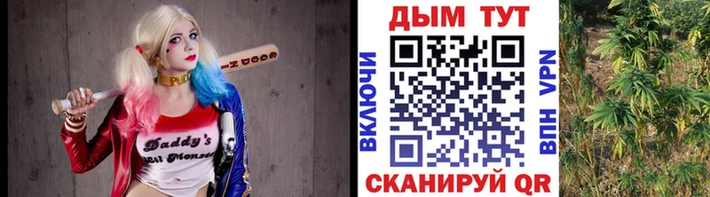 купить наркотик нарко площадка формула Марихуана план Абакан